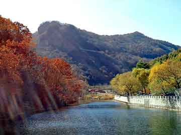 新澳天天开奖资料大全旅游团，下载库论坛